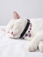 Amethyst Crystal Dog Collar