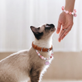 Rose Quartz Bracelet & Pet Collar Set | Embrace Crystal Jewelry Collection