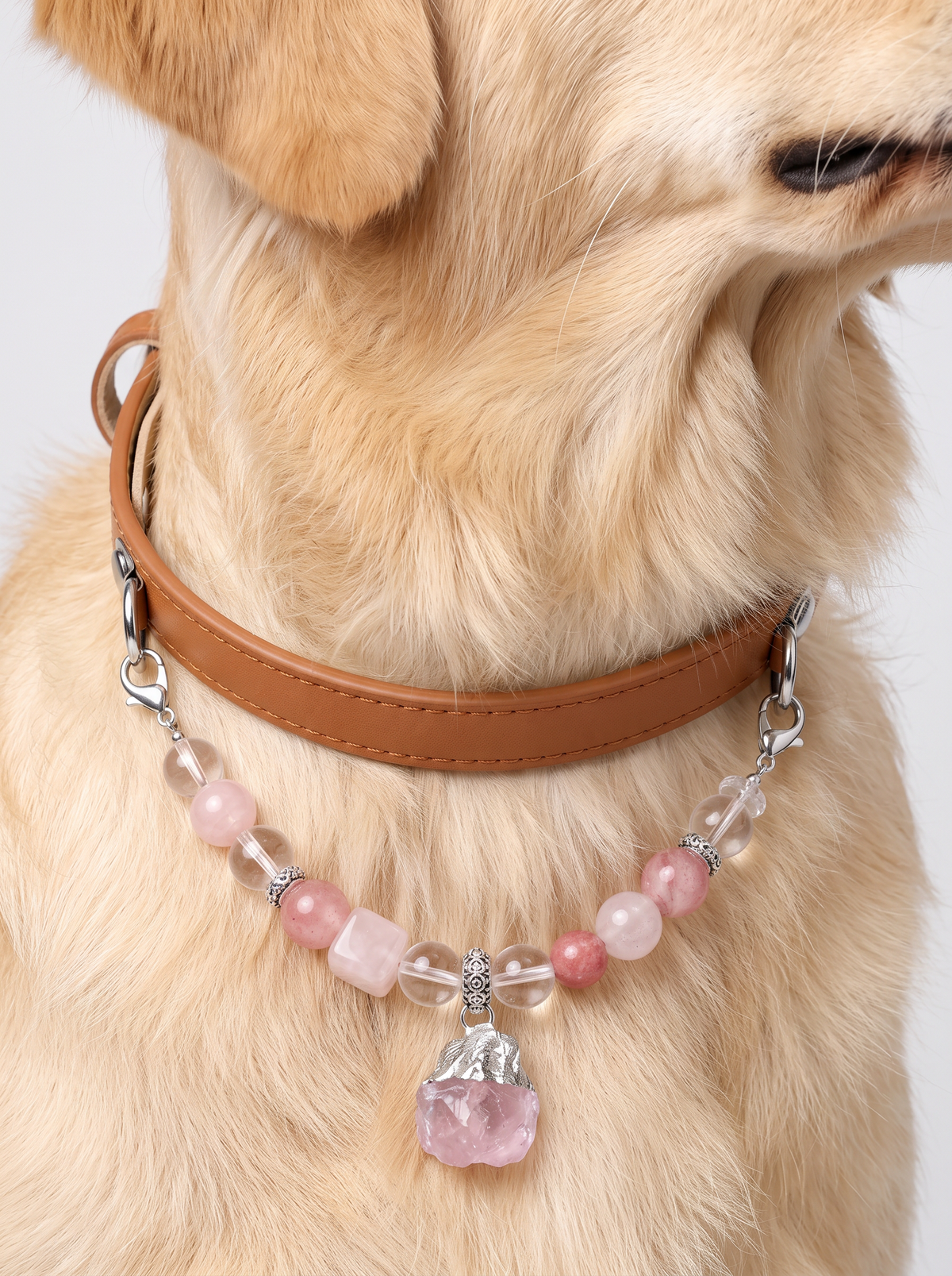 Pet owner wearing matching rose quartz crystal bracelet with dog collar